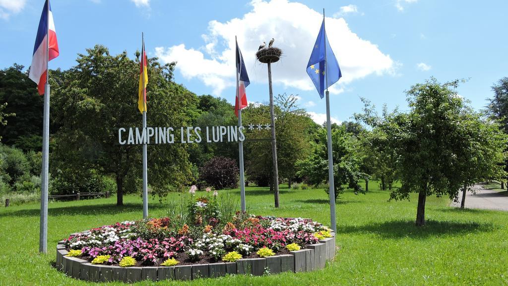 Seppois-le-Bas Camping Les Lupins酒店 外观 照片